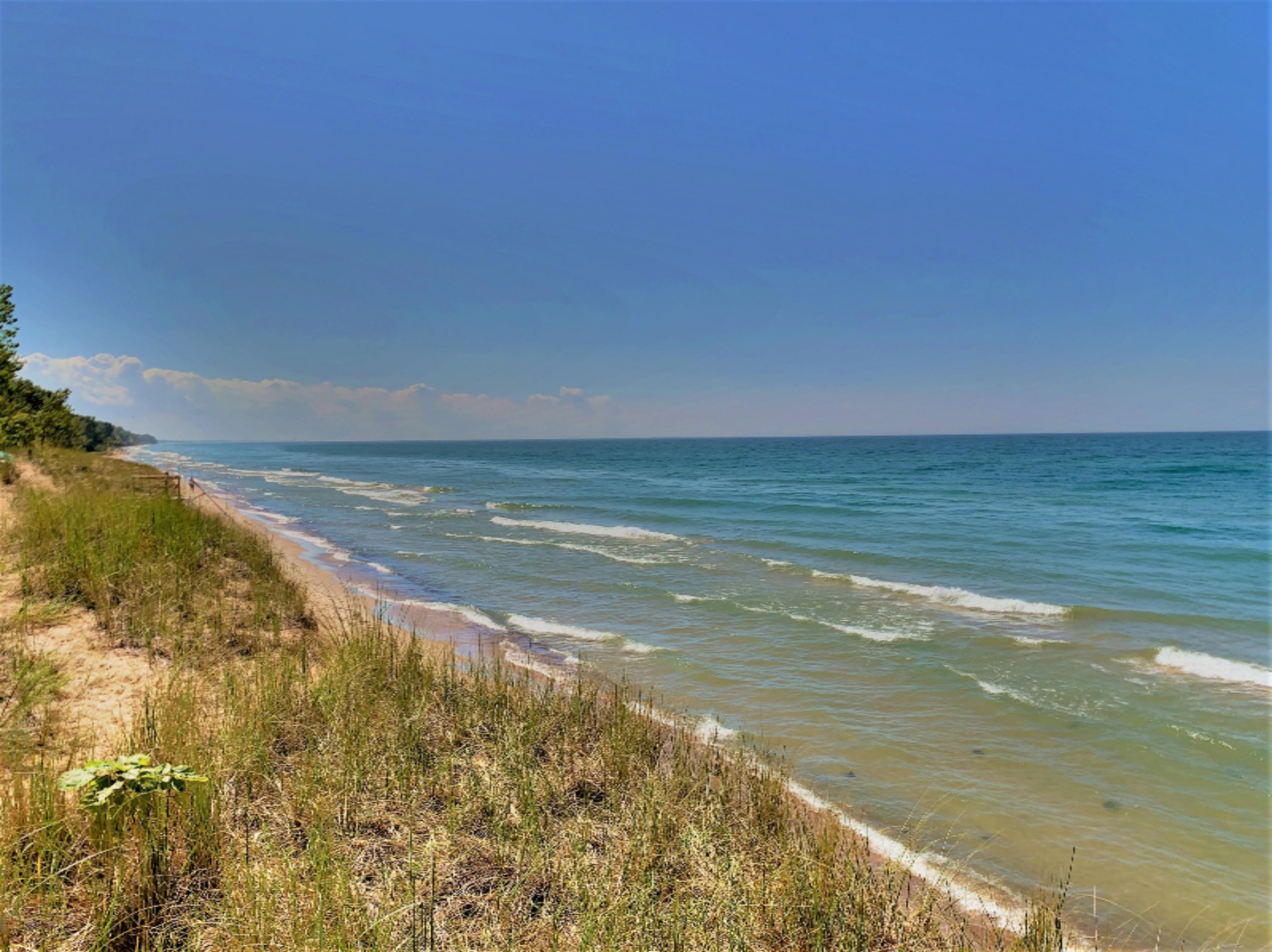 7301 Greenbush Road Harbert, MI 49115 - Photo 29 of 79 IMG_0845 (002)