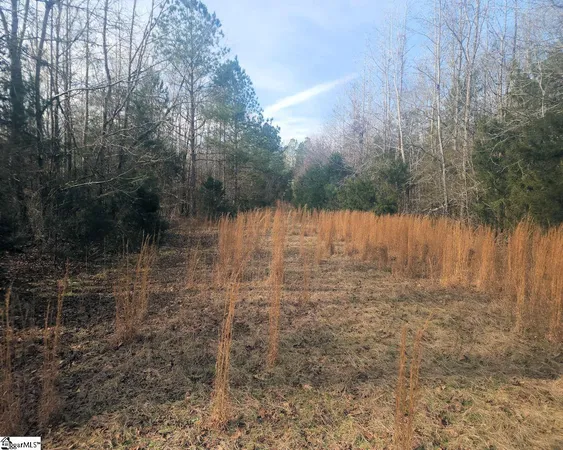 $298,000 | Todd Quarter Road, Waterloo, SC 29384