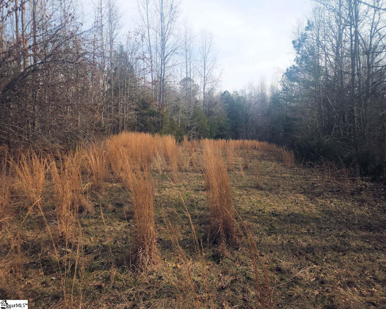 Todd Quarter Road Waterloo, SC 29384 - Photo 12 of 25