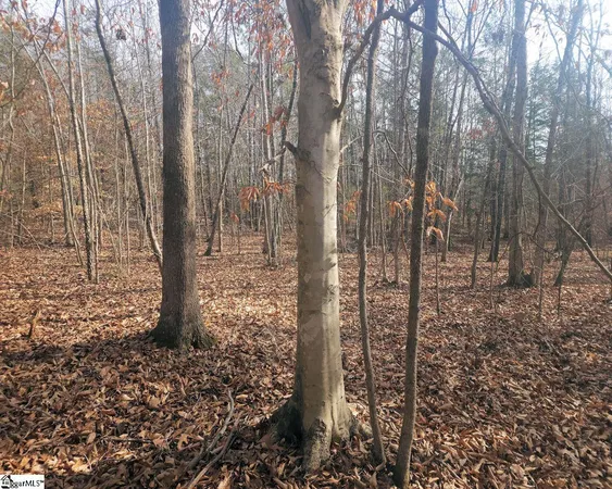 $298,000 | Todd Quarter Road, Waterloo, SC 29384