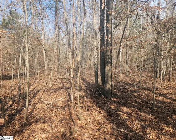 $298,000 | Todd Quarter Road, Waterloo, SC 29384