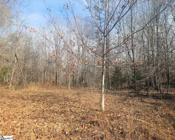 $298,000 | Todd Quarter Road, Waterloo, SC 29384