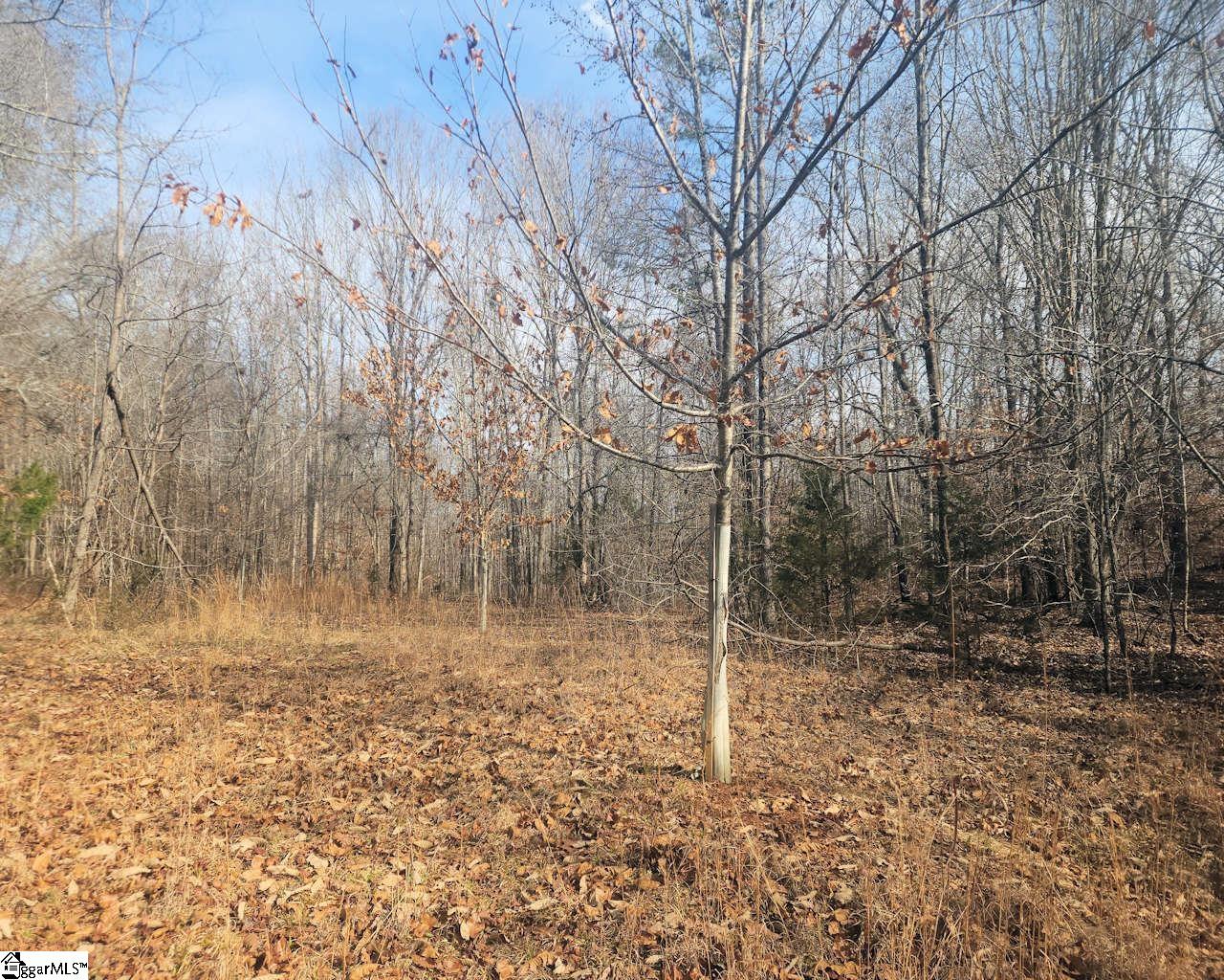 Todd Quarter Road Waterloo, SC 29384 - Photo 16 of 25
