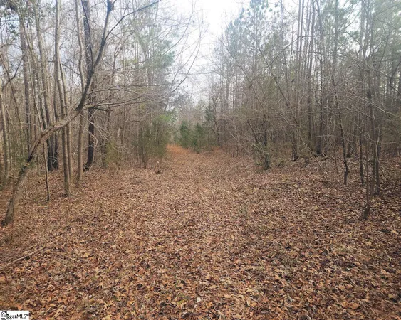 $298,000 | Todd Quarter Road, Waterloo, SC 29384
