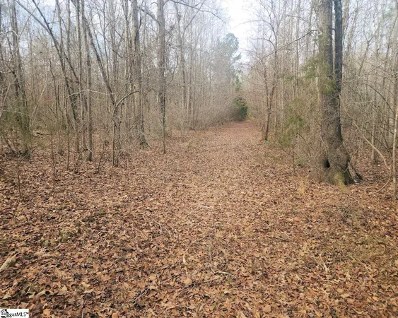 $298,000 | Todd Quarter Road, Waterloo, SC 29384