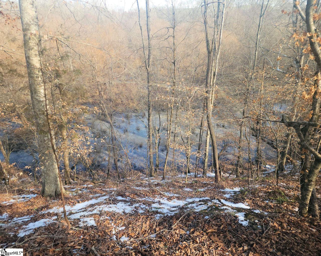 Todd Quarter Road Waterloo, SC 29384 - Photo 19 of 25