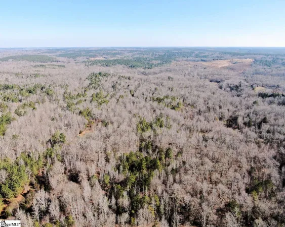 $298,000 | Todd Quarter Road, Waterloo, SC 29384