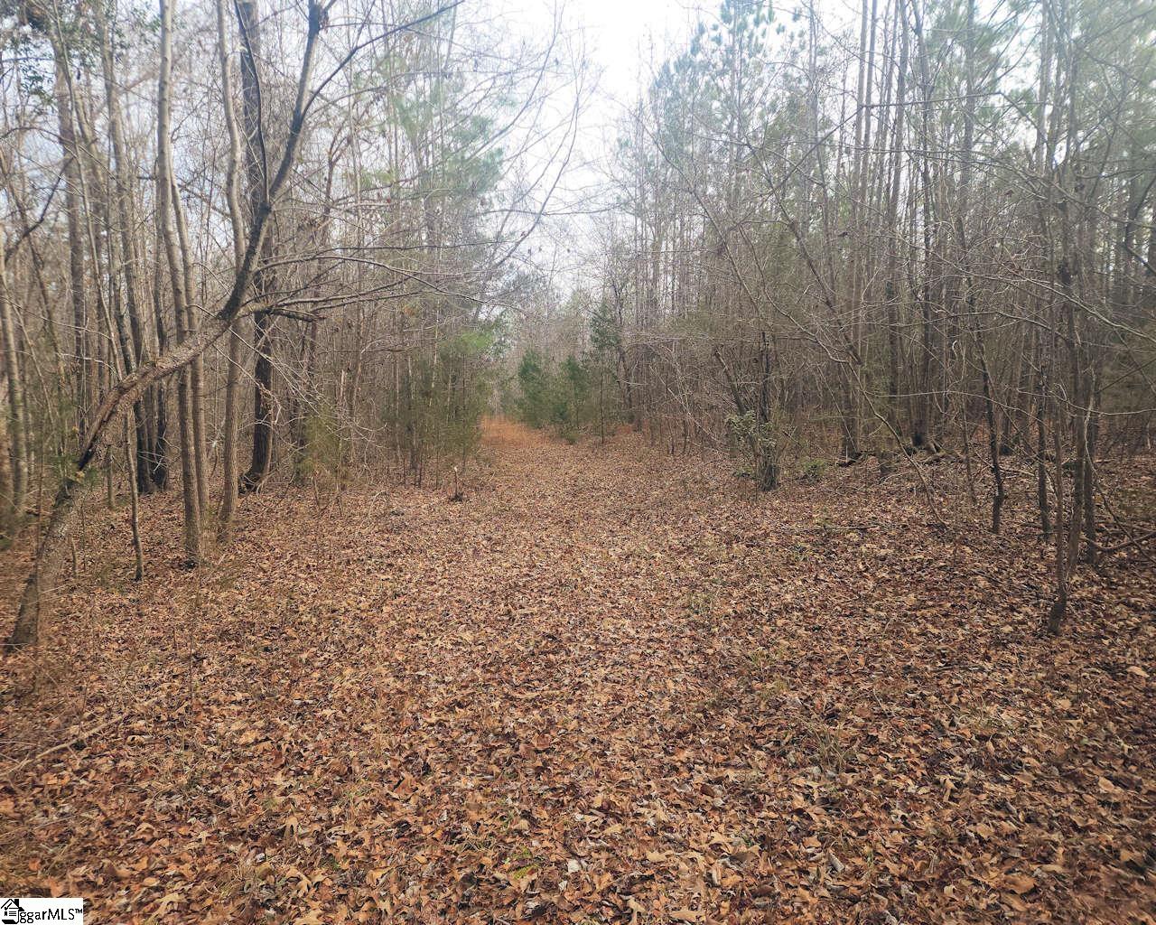 Todd Quarter Road Waterloo, SC 29384 - Photo 20 of 25