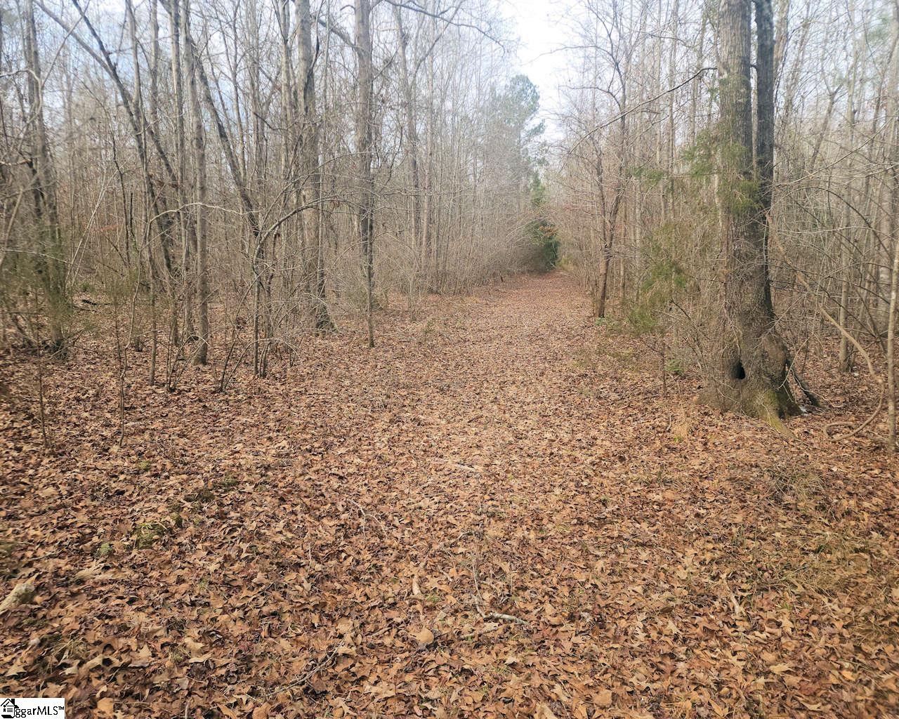 Todd Quarter Road Waterloo, SC 29384 - Photo 21 of 25