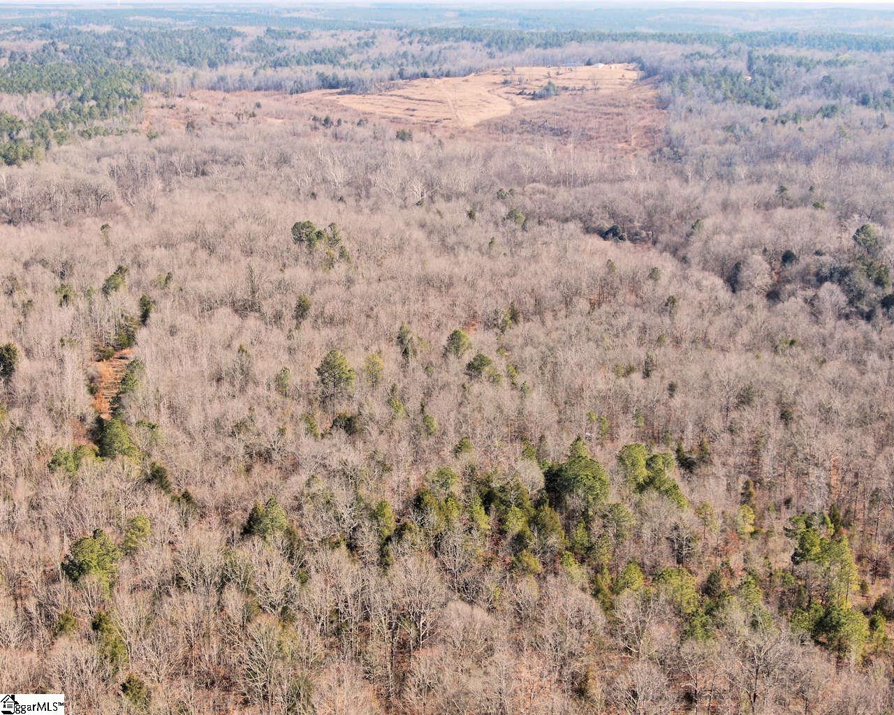 Todd Quarter Road Waterloo, SC 29384 - Photo 24 of 25
