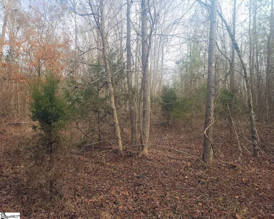 $298,000 | Todd Quarter Road, Waterloo, SC 29384