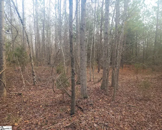 $298,000 | Todd Quarter Road, Waterloo, SC 29384
