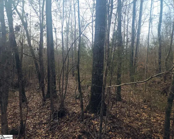 $298,000 | Todd Quarter Road, Waterloo, SC 29384