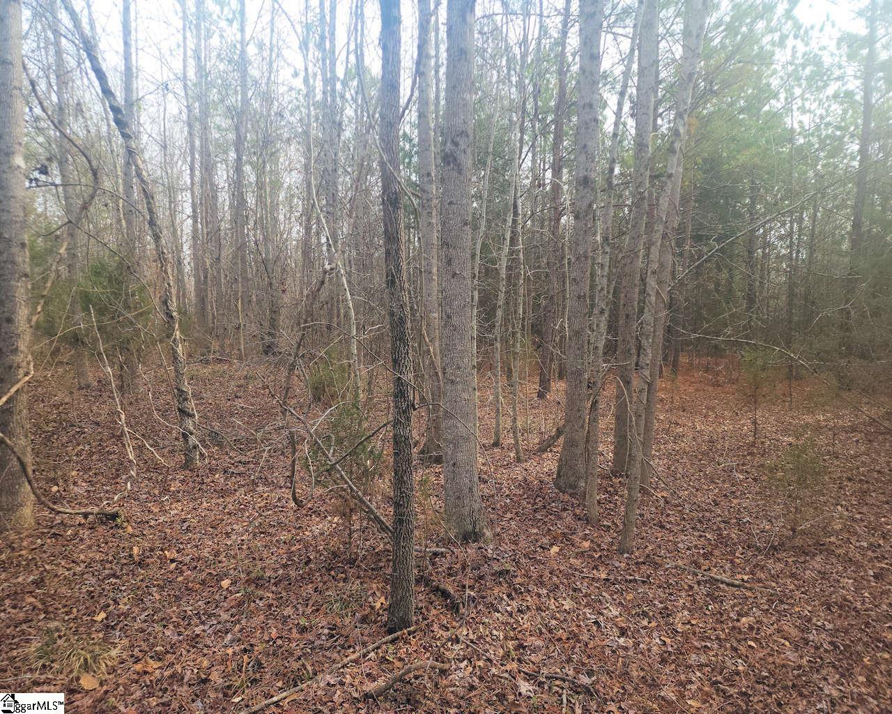 Todd Quarter Road Waterloo, SC 29384 - Photo 6 of 25