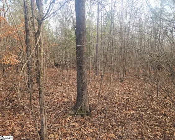 $298,000 | Todd Quarter Road, Waterloo, SC 29384