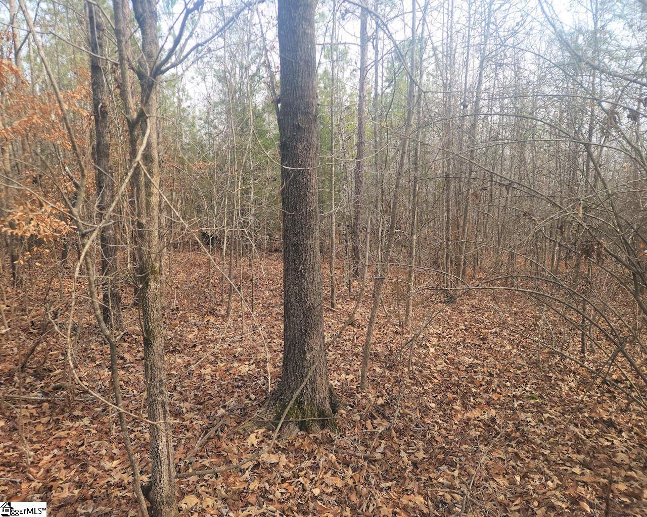 Todd Quarter Road Waterloo, SC 29384 - Photo 8 of 25