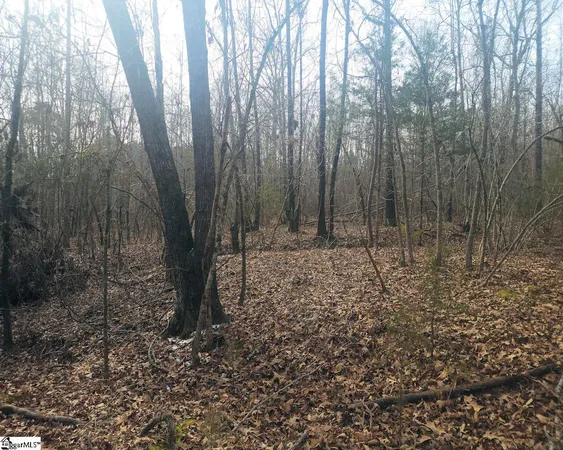 $298,000 | Todd Quarter Road, Waterloo, SC 29384