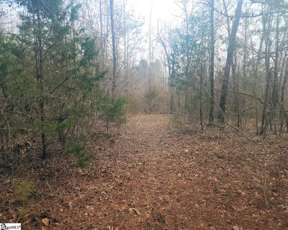 $298,000 | Todd Quarter Road, Waterloo, SC 29384