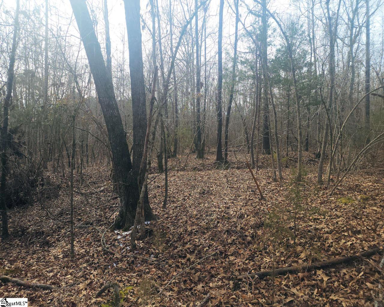 Todd Quarter Road Waterloo, SC 29384 - Photo 10 of 25