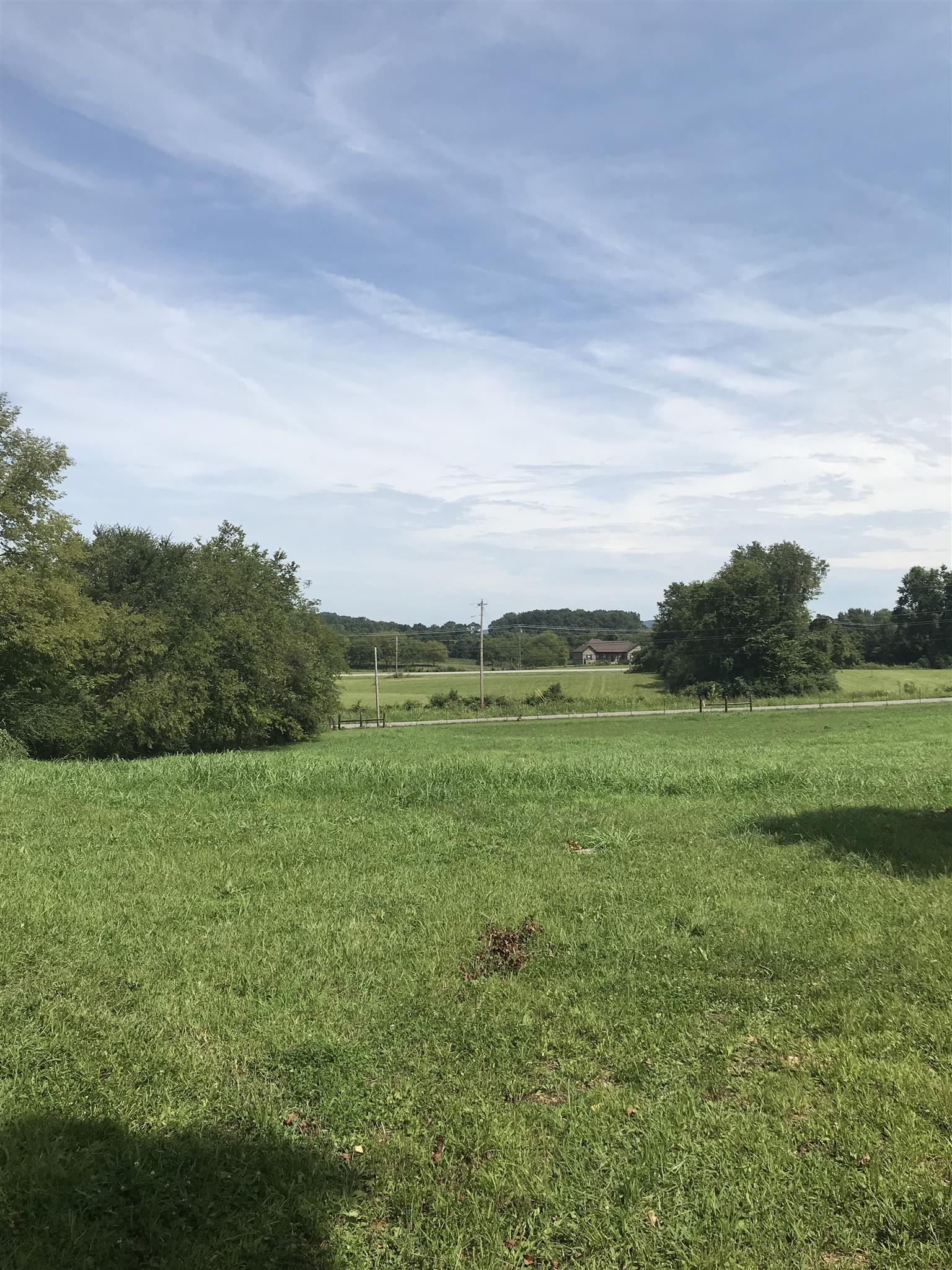 11783 West Trimble Road Milton, TN 37118 - Photo 5 of 7 a view of a field with an trees