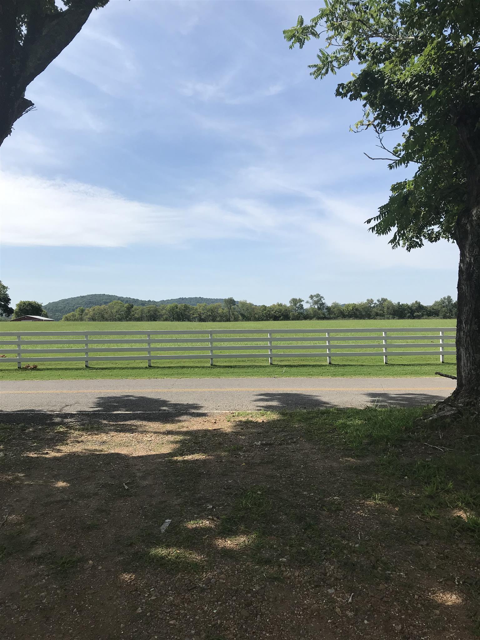 11783 West Trimble Road Milton, TN 37118 - Photo 6 of 7 a view of a golf course with a lake