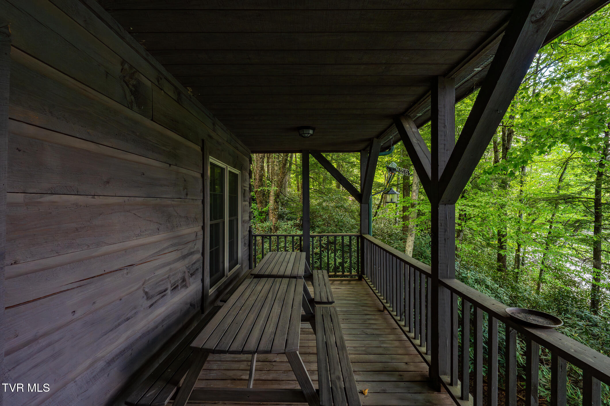 170 Ripshin Lake Road Roan Mountain, TN 37687 - Photo 46 of 64 170 Ripshin Lake Rd (16 of 73)
