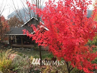1128 Dempsey Road Leavenworth, WA 98826 - Photo 12 of 40 Gallery Image 12