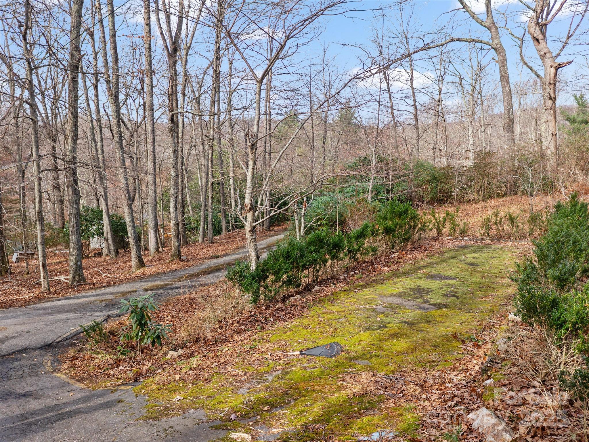 74 George Street Spruce Pine, NC 28777 - Photo 20 of 29 a backyard of a house with lots of green space