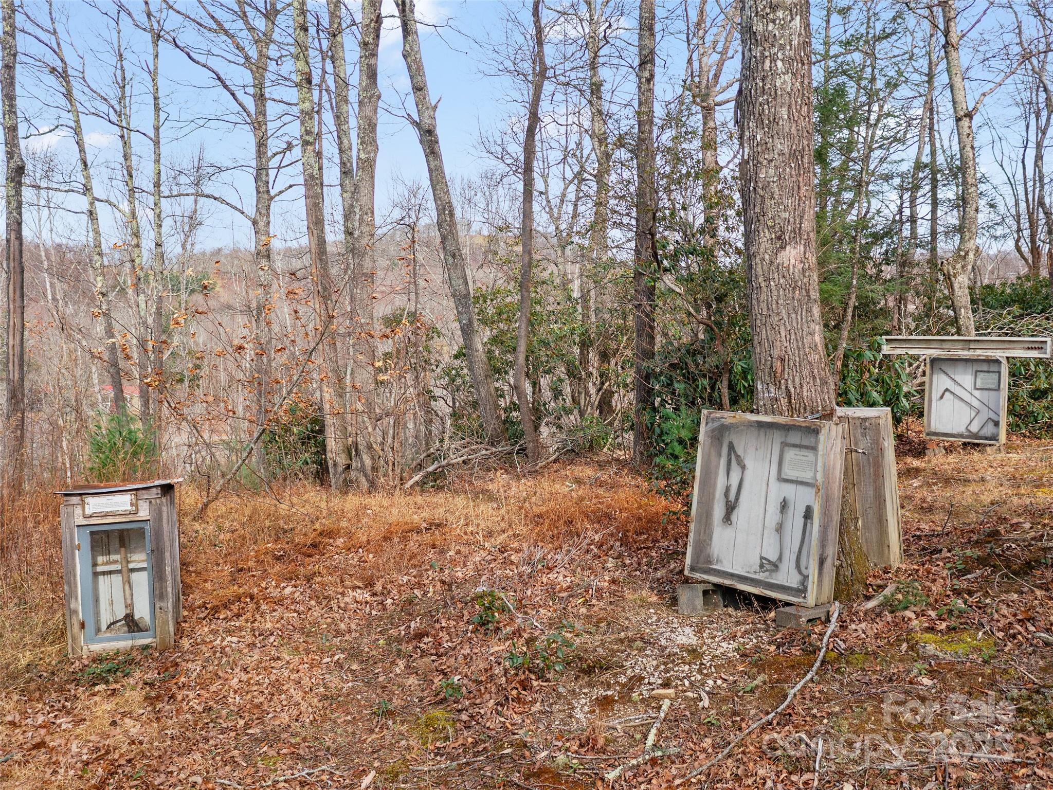 74 George Street Spruce Pine, NC 28777 - Photo 6 of 29 a backyard of a house with lots of green space
