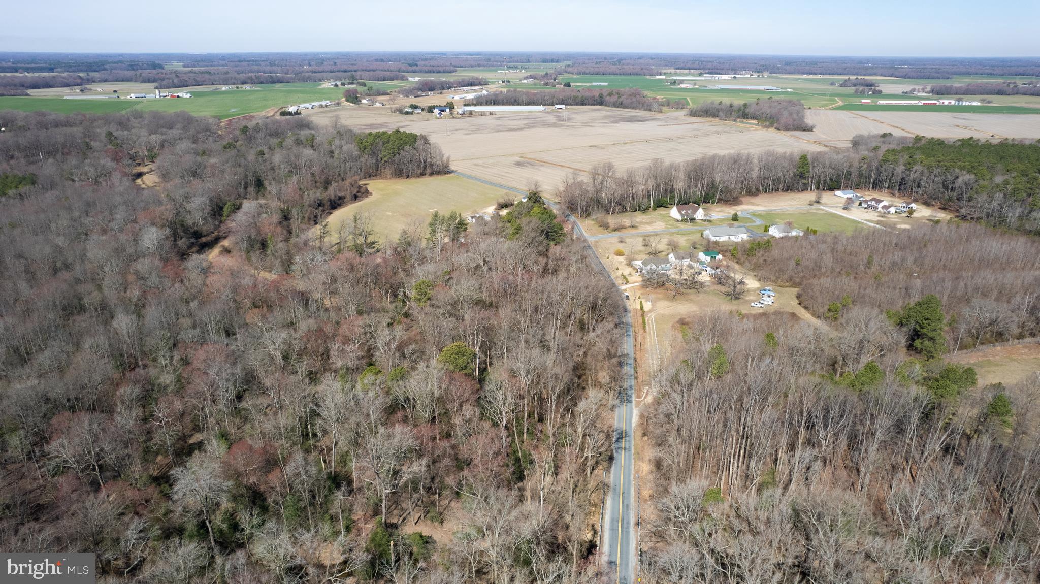 3871 Laurel Grove Road Federalsburg, MD 21632 - Photo 11 of 70