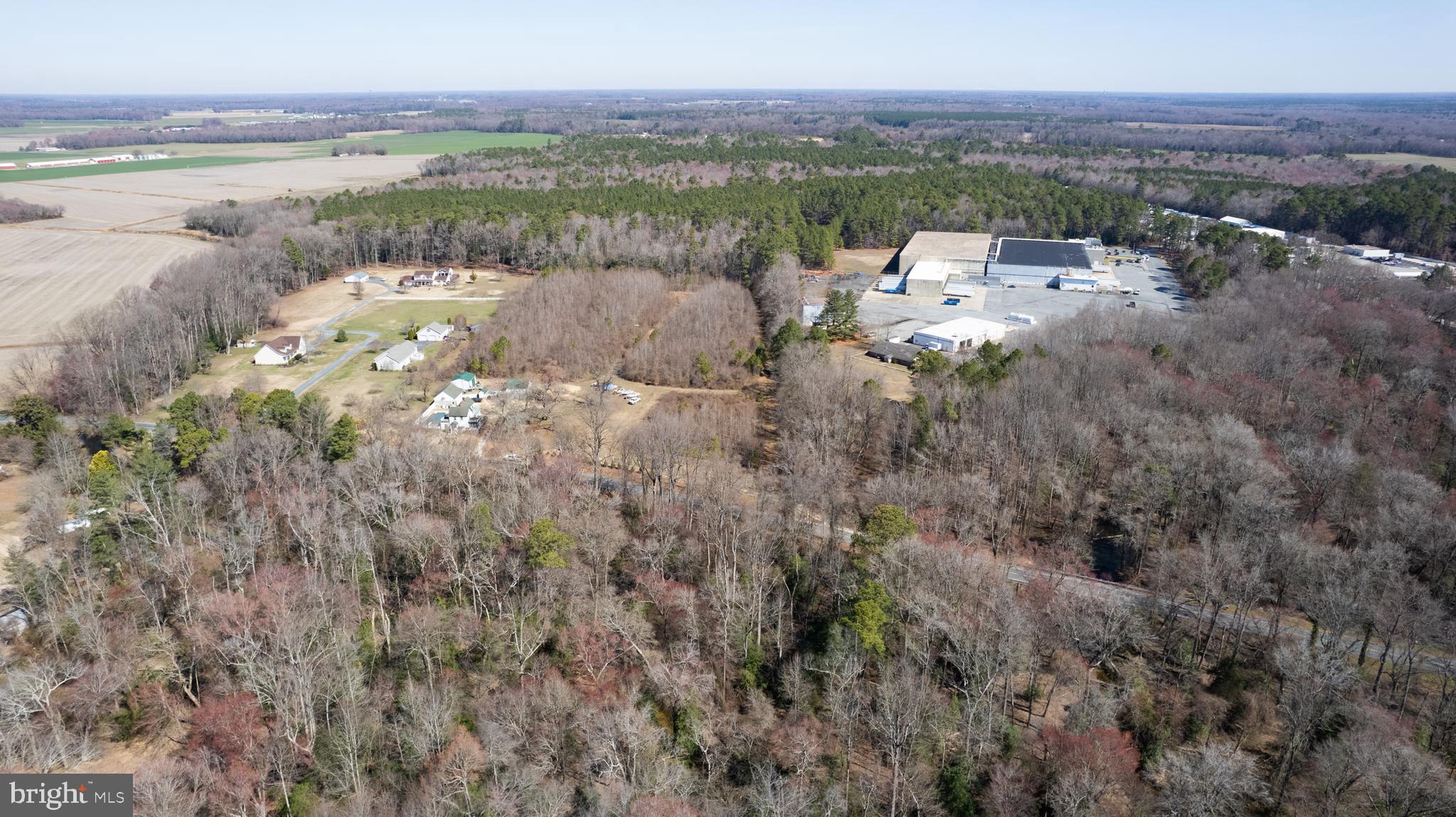 3871 Laurel Grove Road Federalsburg, MD 21632 - Photo 2 of 70