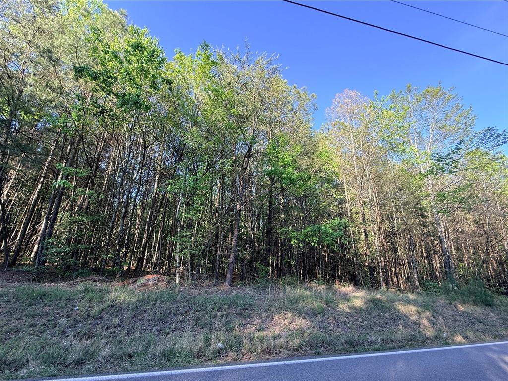 Lot 7 Pea Ridge Road Ball Ground, GA 30107 - Photo 5 of 14 Gallery Image 5