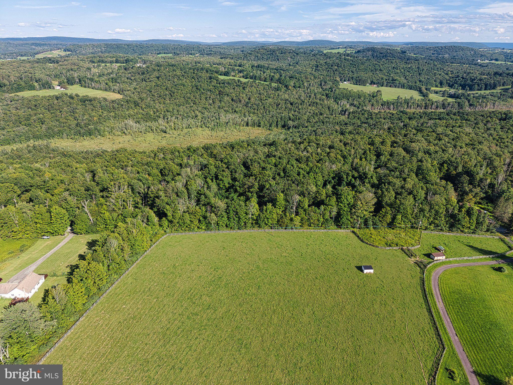 0 Creamery Road Jermyn, PA 18433 - Photo 16 of 17 Expansive green fields meet serene woods.