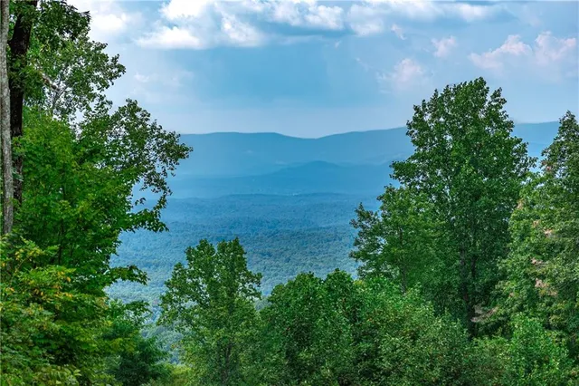 a view of a lake with a forest in the back