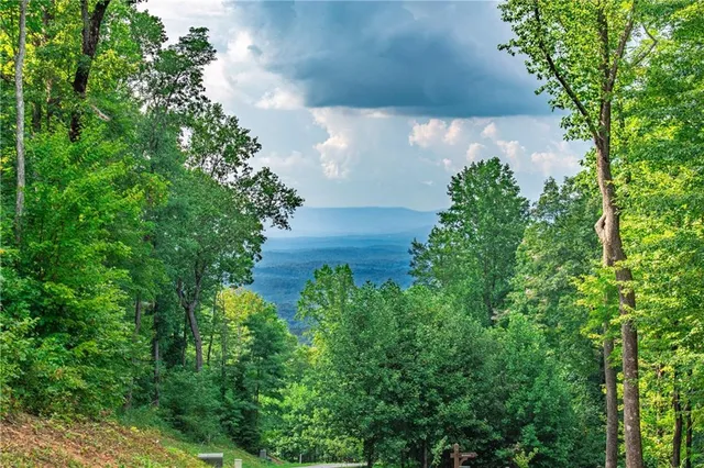 an aerial view of a yard
