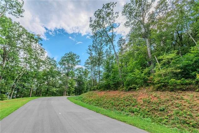 a view of a yard with a tree