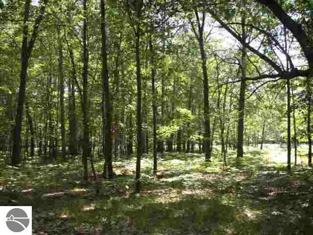 803 South Towerline Road Whittemore, MI 48770 - Photo 4 of 4 1762800-3.JPG