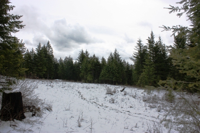 Nna North Paradise Road Rathdrum, ID 83858 - Photo 1 of 1 Land