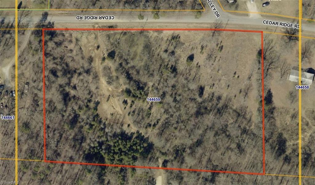 217 Cedar Ridge Road Randleman, NC 27317 - Photo 18 of 18 Parcel Overview