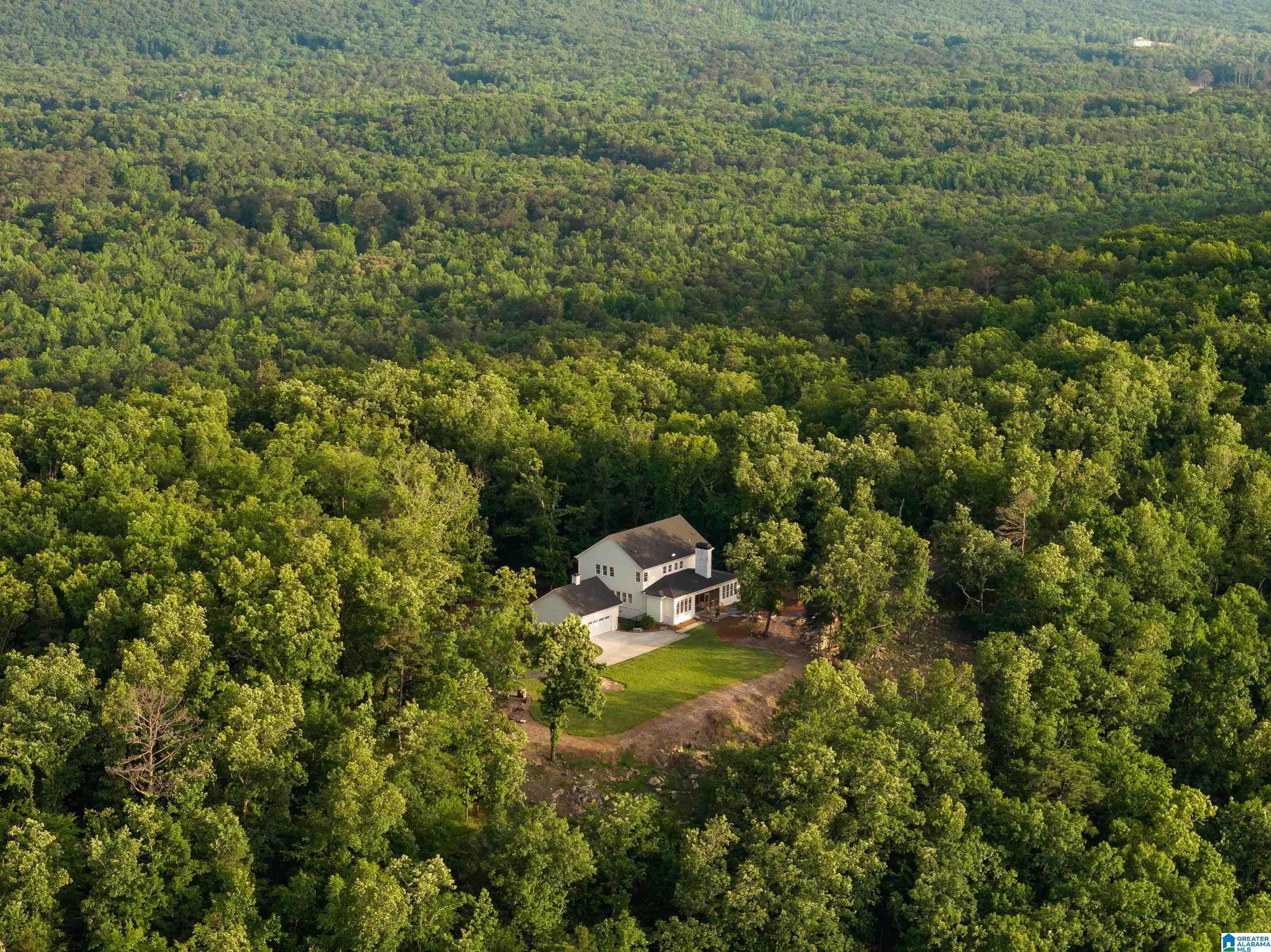 3589 Springstone Trail Leeds, AL 35094 - Photo 7 of 94 Gallery Image 7