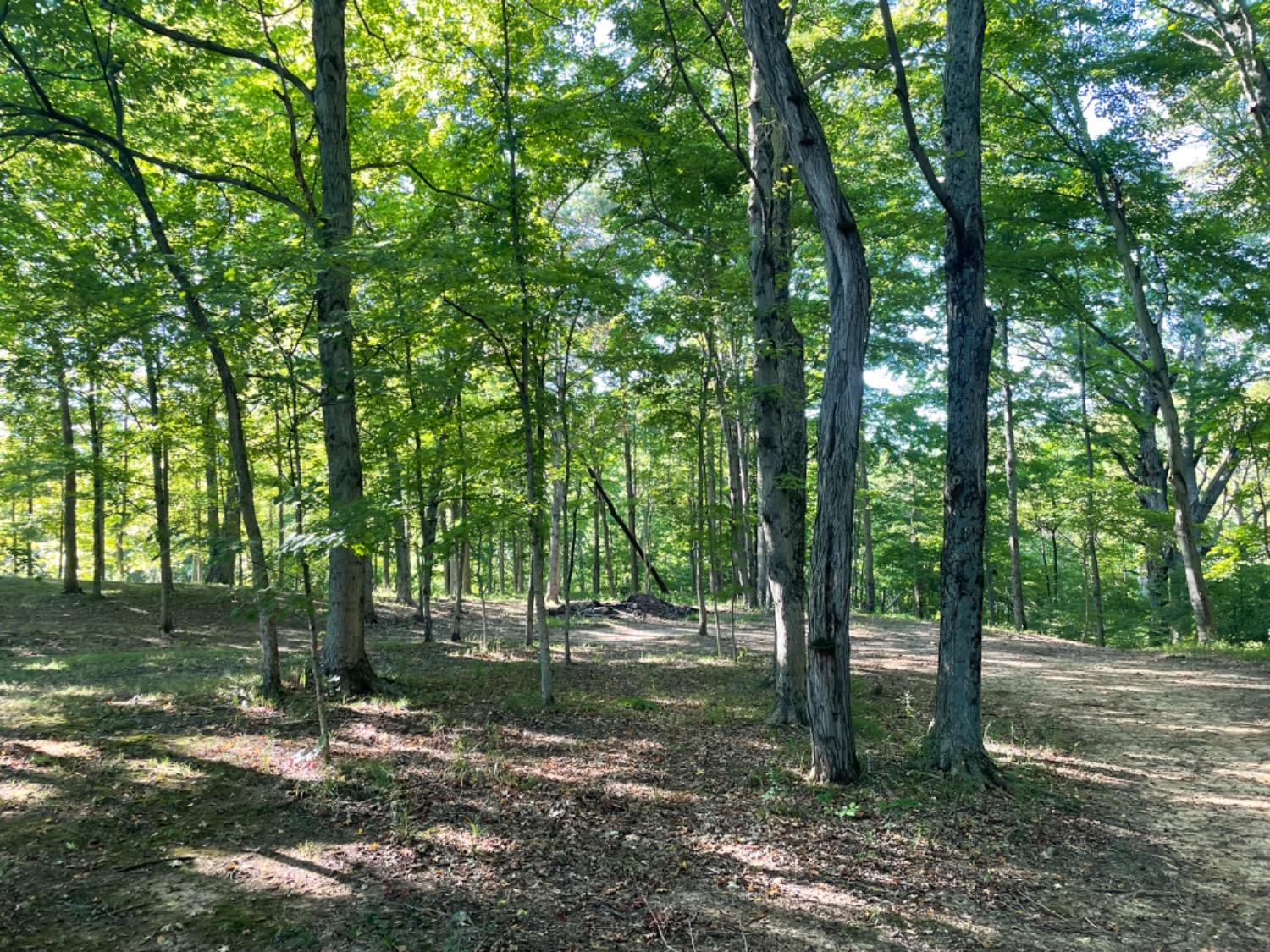 96 Gaslight Drive Versailles, IN 47042 - Photo 43 of 45