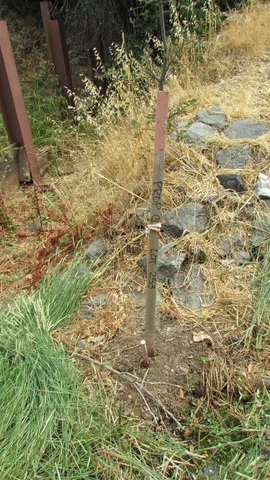 $32,000 | 271 Duchess Drive, Copperopolis, CA 95228