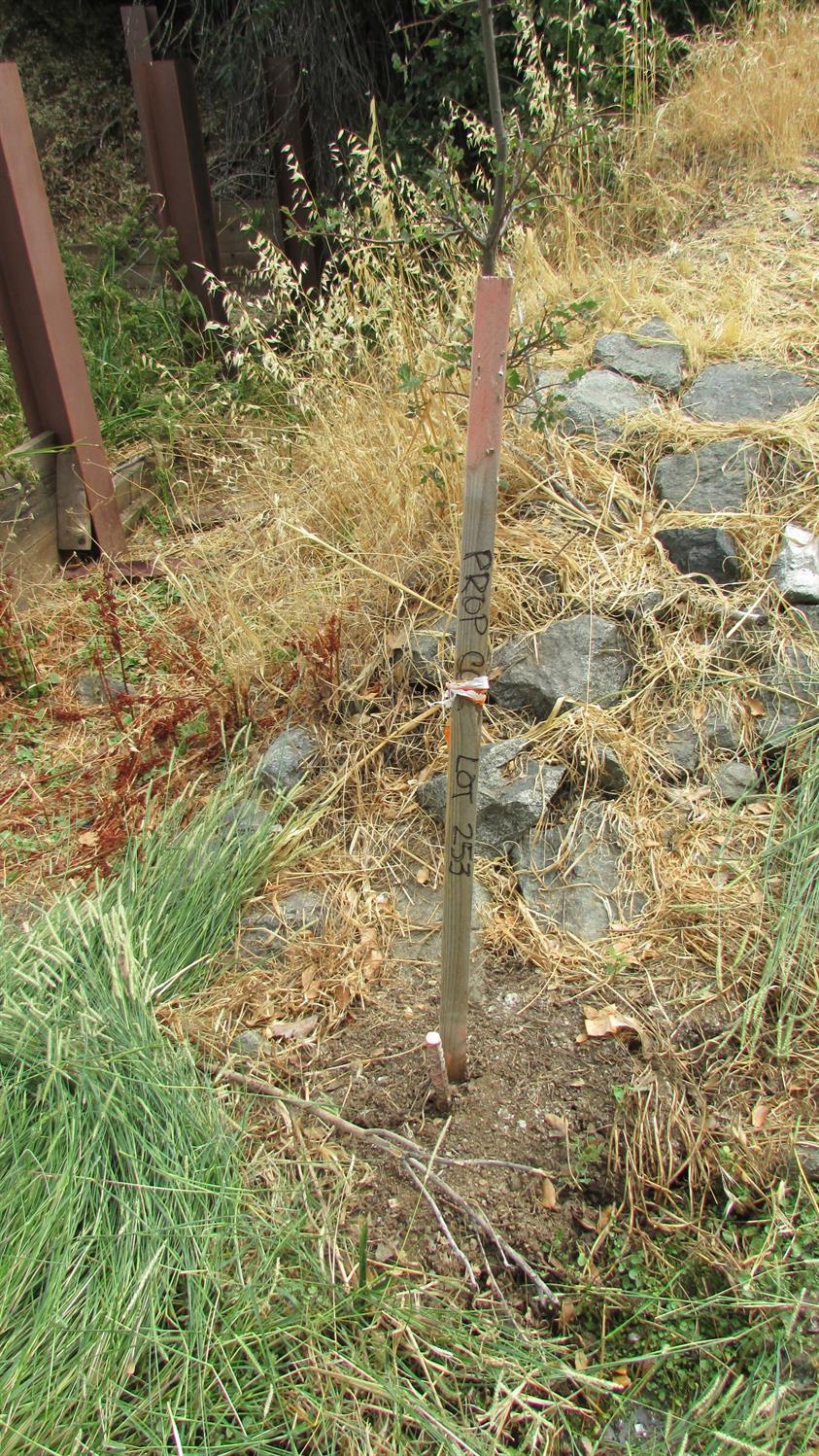 271 Duchess Drive Copperopolis, CA 95228 - Photo 31 of 34