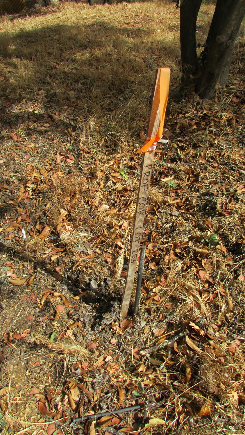 271 Duchess Drive Copperopolis, CA 95228 - Photo 32 of 34 a view of a lake