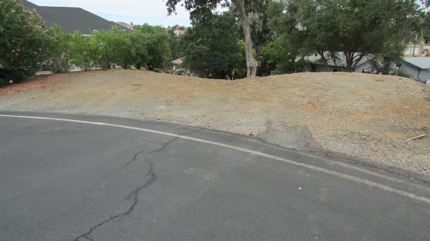 271 Duchess Drive Copperopolis, CA 95228 - Photo 4 of 34 a view of outdoor space