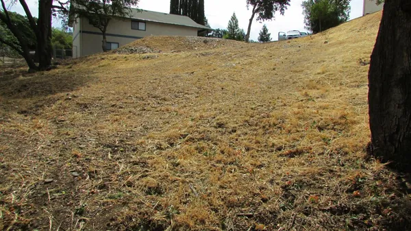 a view of a backyard of the house