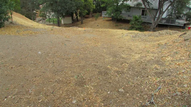 a view of a yard with plants and trees