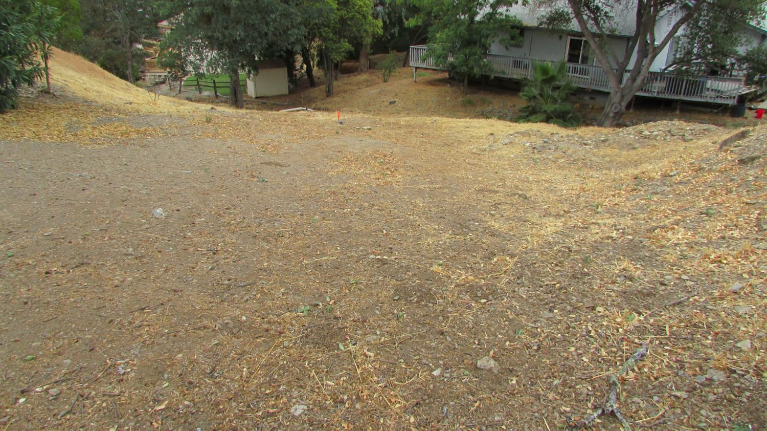 271 Duchess Drive Copperopolis, CA 95228 - Photo 8 of 34 a view of a yard with plants and trees
