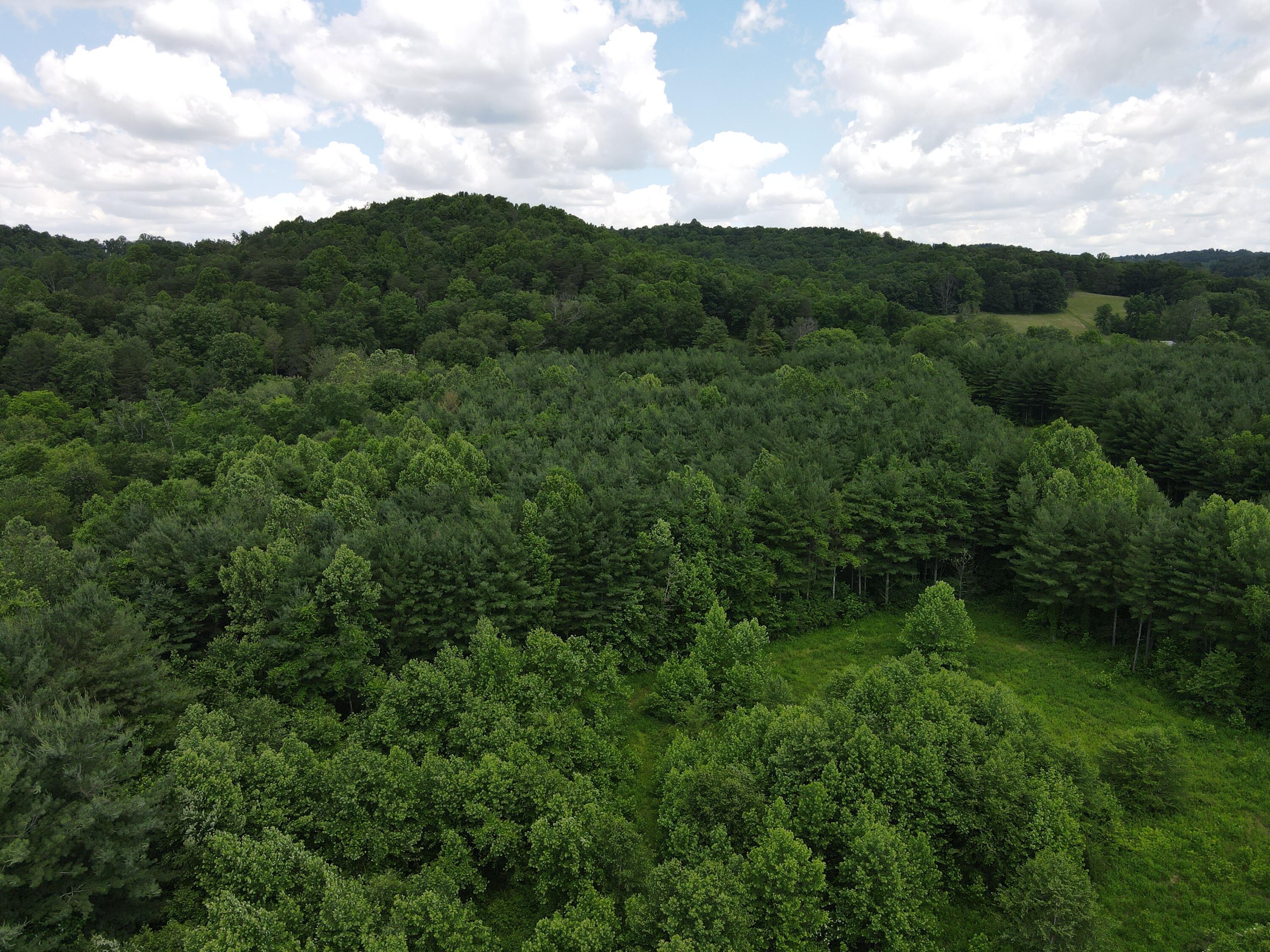0 Log Home Road Laurelville, OH 43135 - Photo 15 of 20