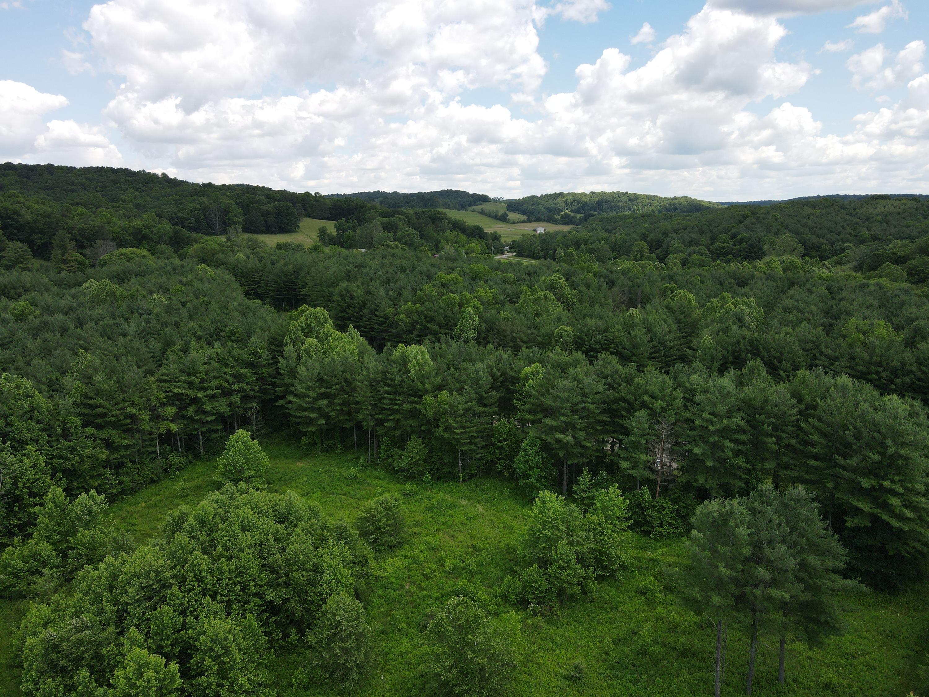 0 Log Home Road Laurelville, OH 43135 - Photo 16 of 20